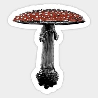 Amanita Muscaria Mushroom (VII) Sticker